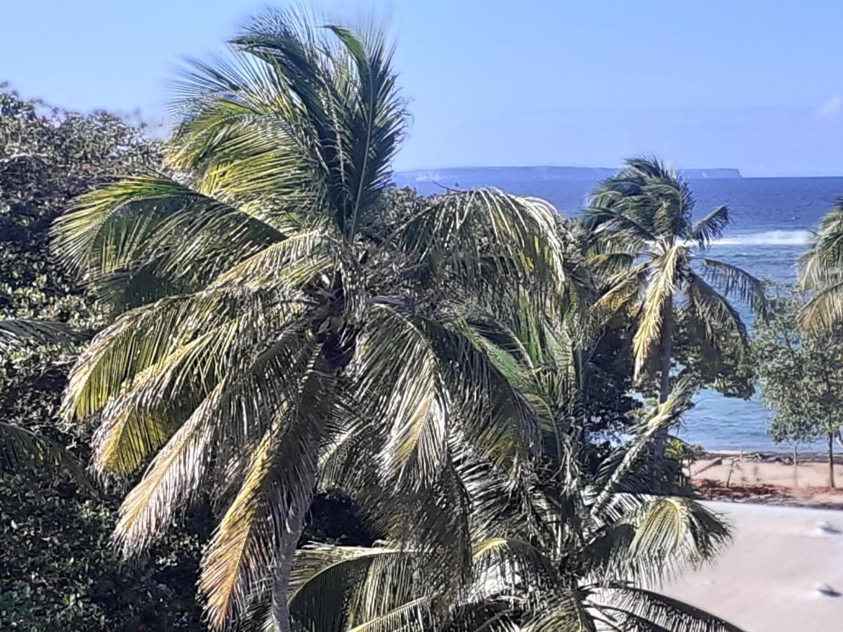 Studio Vue Sur Mer Le Moule Buitenkant foto